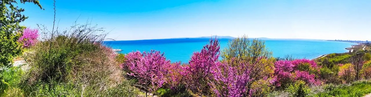 Luxury Apartments Alix Burgas 0*,